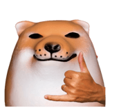 882254616