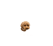 882254787