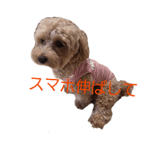 882254792
