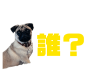 882255891