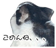 882256784