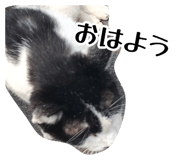 882256787