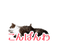 882256788