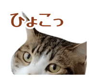 882256796