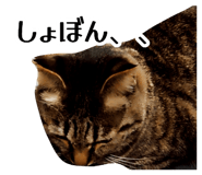 882256797
