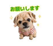 882256898