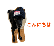 882258903