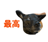 882258905