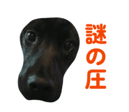 882258911