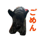 882258912