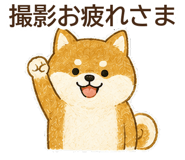 882259977