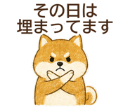 882259981