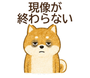 882259991