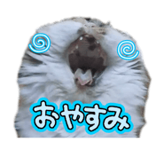 882262163