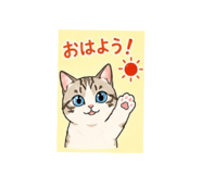 882262897