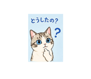 882262903