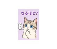 882262904