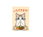 882262911