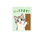 882262918