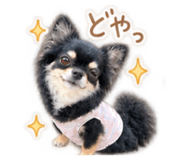 882262958