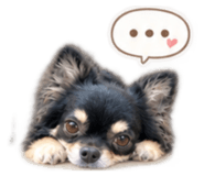 882262959