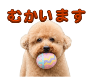 882263366