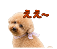 882263367