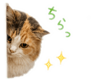 882268663