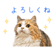 882268664