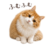 882269613