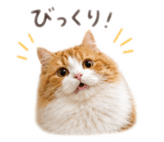 882269620