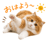 882269624