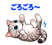 882273625