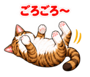 882273626