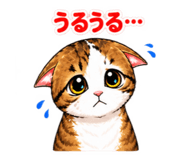 882273630