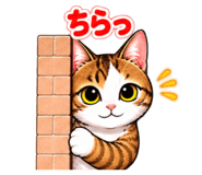 882273639
