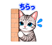882273640