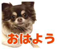 882274609