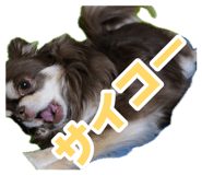 882274634