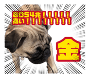 882275006