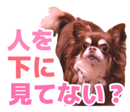882276530