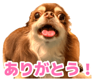 882276531