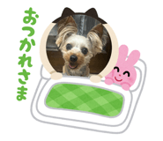 882277084