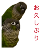 882277572
