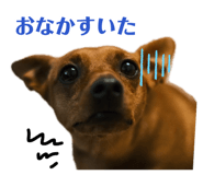 882278021