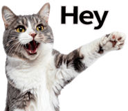 882283326