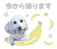 882291119