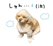 882299450