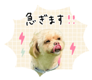 882299464