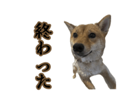 882300490